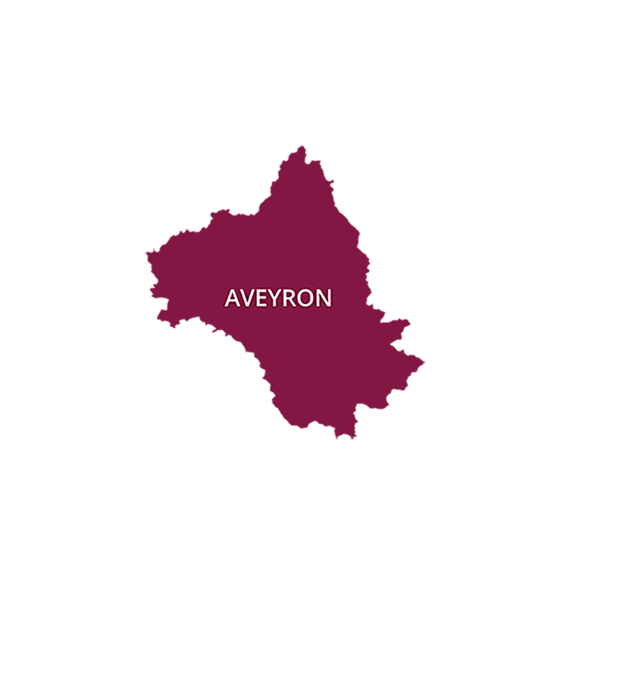 Picto de la carte du département de l'Aveyron en violet