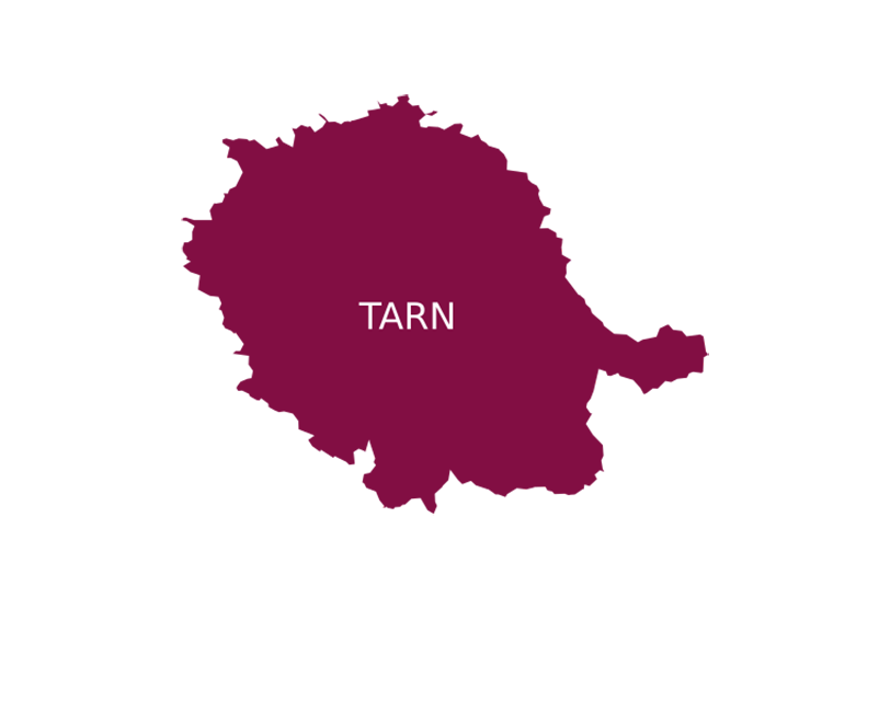 Picto de la carte du département du Tarn en violet