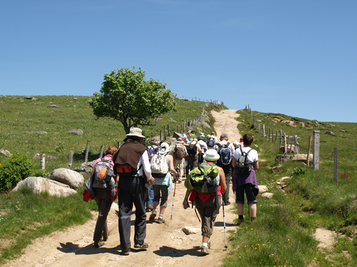 MUTUALISATION D’EMPLOIS POUR L’ENTRETIEN D’ESPACES SUR L’AUBRAC